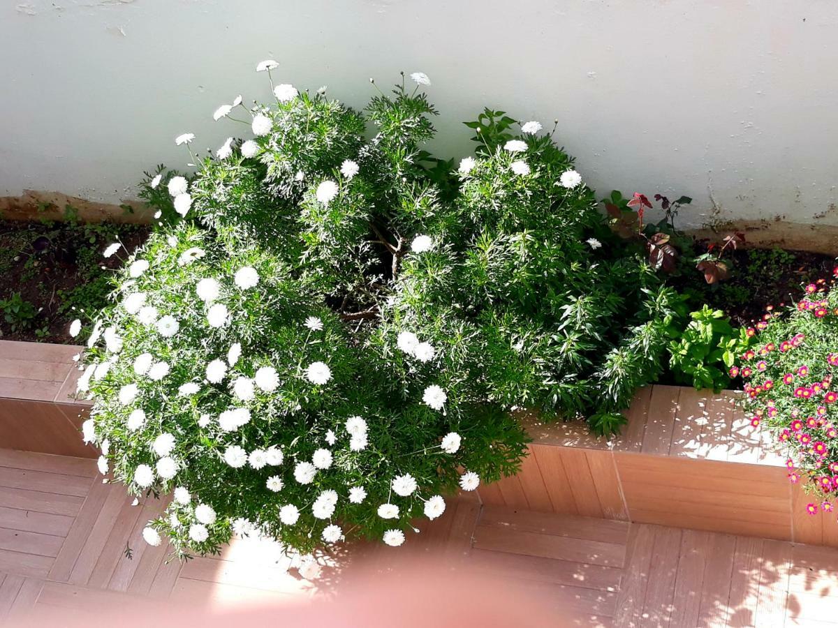 Holidays 1 Daire Sitia (Crete)